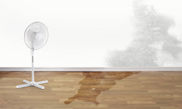 Best Commercial water damage restoration  in Tripoli, IA